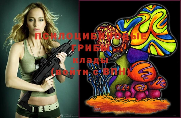 шишки Осинники