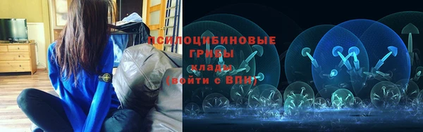мет Елизово