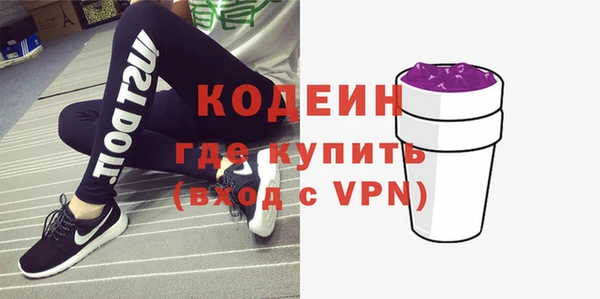 прущие грибы Ельня