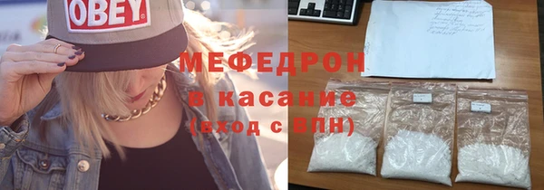 прущие грибы Ельня