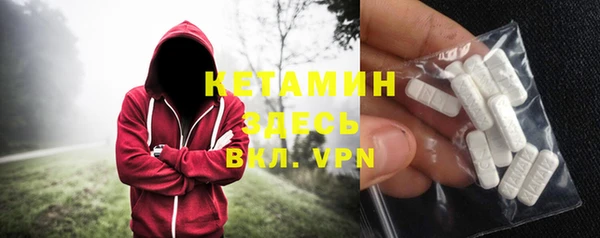 прущие грибы Ельня