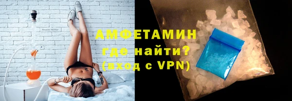 прущие грибы Ельня