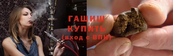 гидра Елабуга