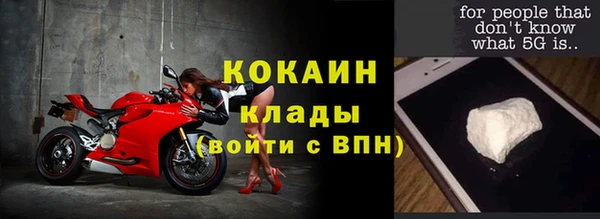 прущие грибы Ельня