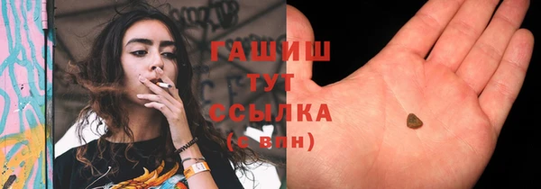 прущие грибы Ельня