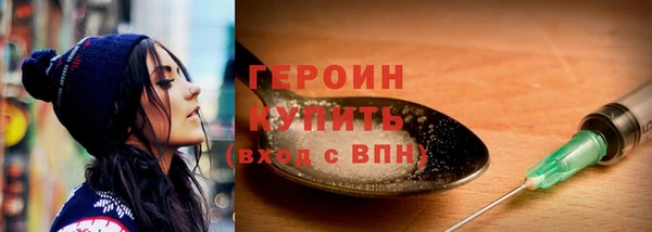 гидра Елабуга