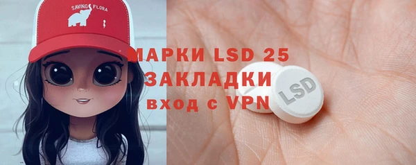 прущие грибы Ельня