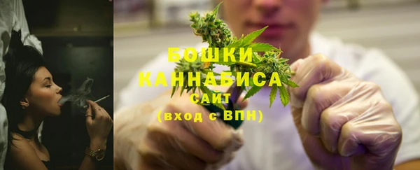 гидра Елабуга