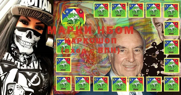 прущие грибы Ельня