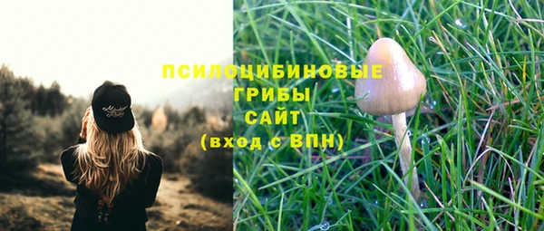 мет Елизово