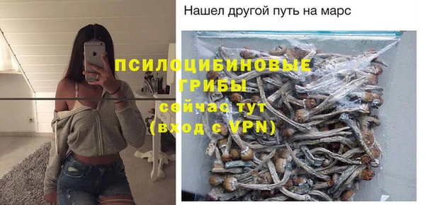 гидра Елабуга