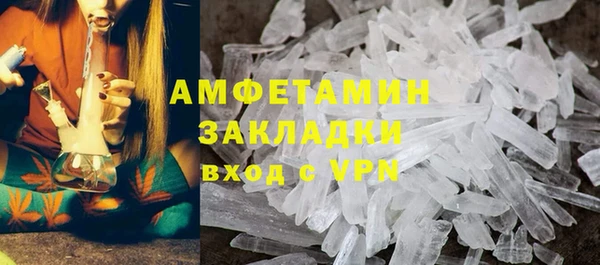 прущие грибы Ельня