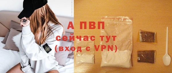 гидра Елабуга