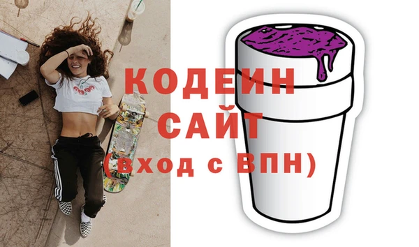 прущие грибы Ельня