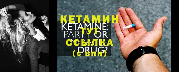 прущие грибы Ельня