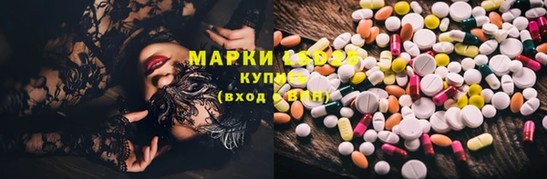 прущие грибы Ельня
