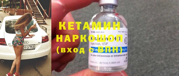 гидра Елабуга