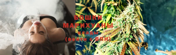 гидра Елабуга