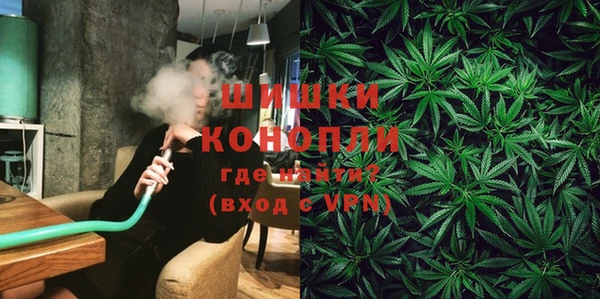 прущие грибы Ельня