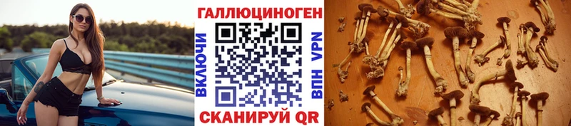 Псилоцибиновые грибы ЛСД  где продают   KRAKEN как войти  Инза 