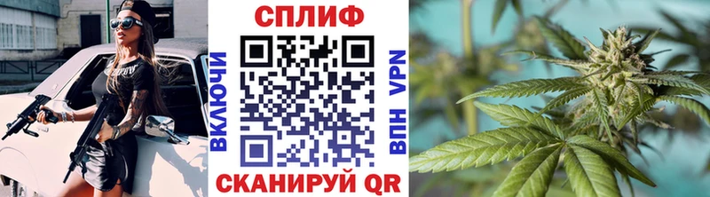 наркотики  Инза  Бошки марихуана SATIVA & INDICA 